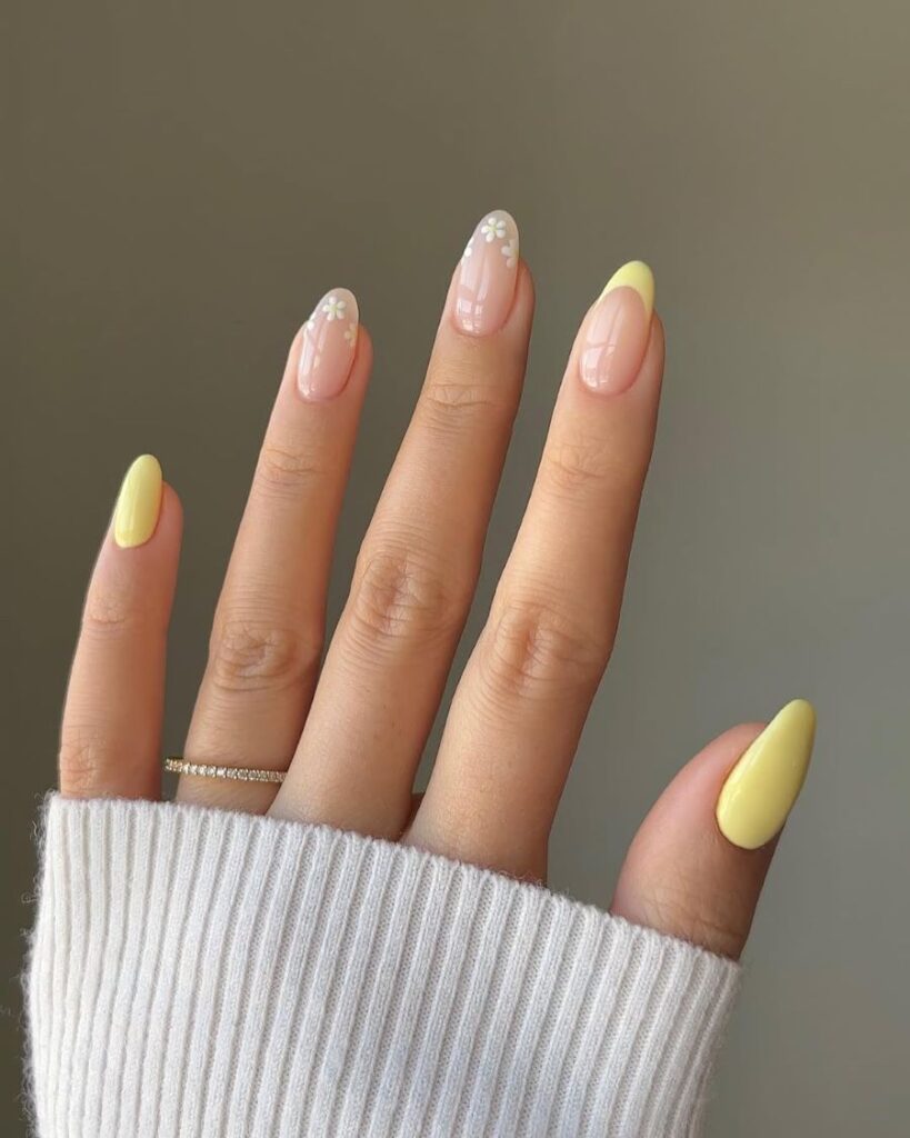 Yellow Daisy Delight